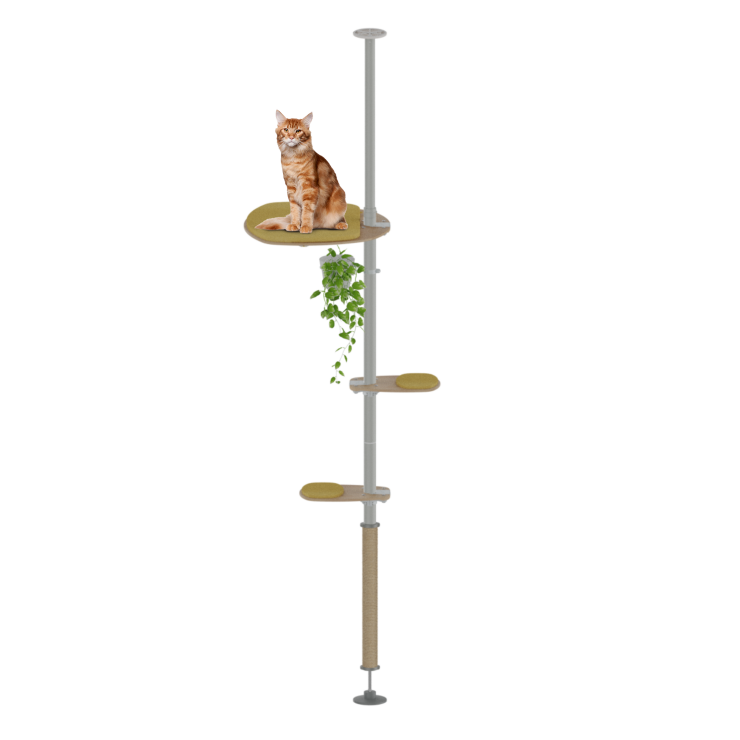Freestyle - Kit Top Cat - 2,15 m à 2,60 m