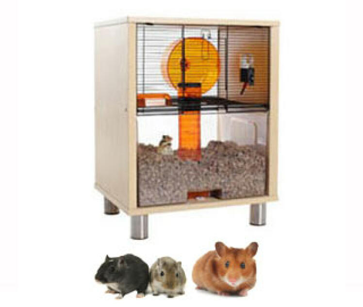 Cage Qute