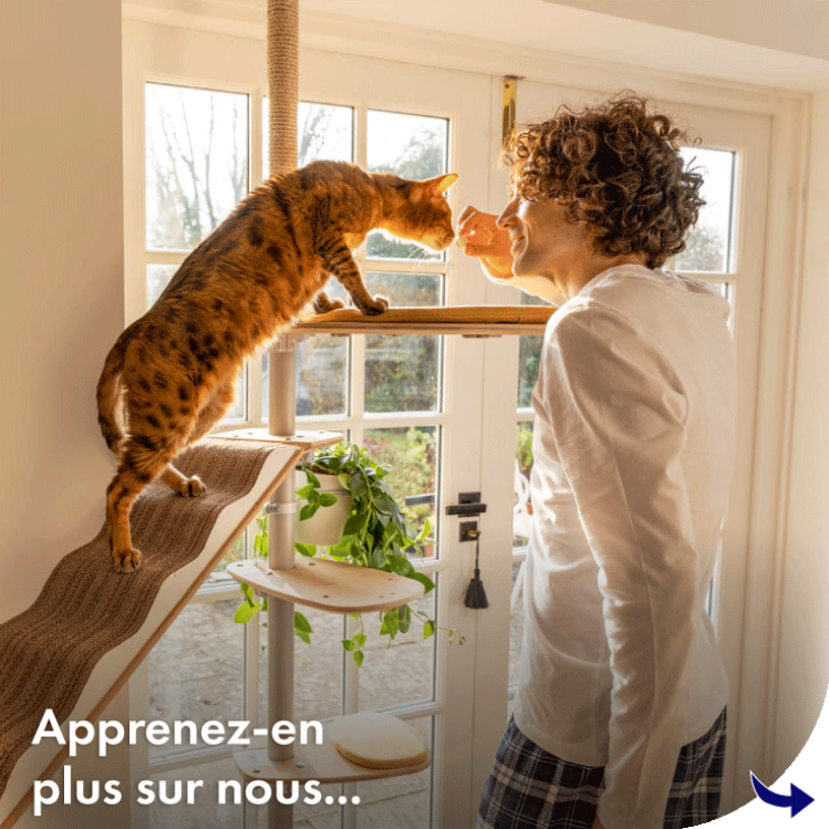 Pour en savoir plus Omlet