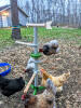 convient parfaitement à l’espace de mes poules dans le jardin