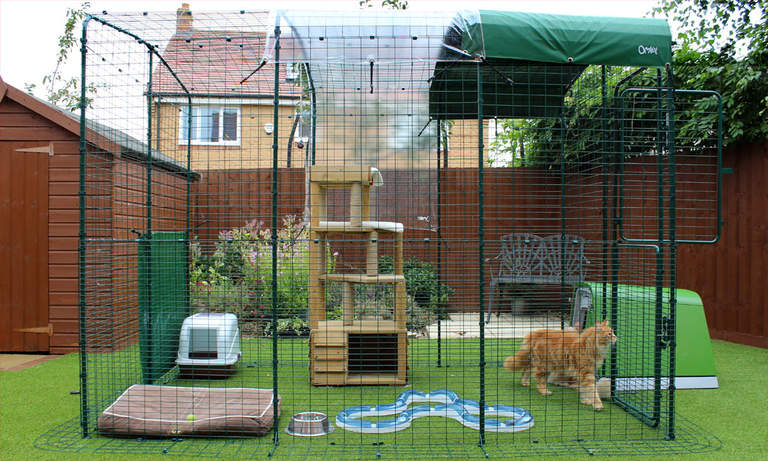 Outdoor Cat Enclosure Australia Outdoor Cat Enclosure Australia