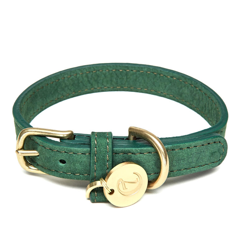 Collier En Cuir Tiergarten Cloud7 Vert Sapin Taille M Colliers Pour Chiens