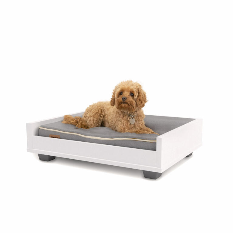 Cadre de Lit Omlet Fido pour Chiens Small avec Matelas