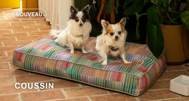 Dog walk collection coussin lit pour chien