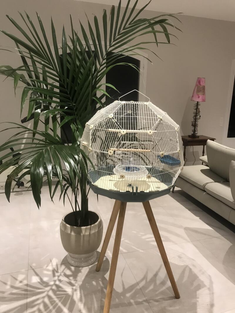 Armo Lot De 4 Parapluies Dôme PVC Cage à Oiseaux Mariage Blanc 86,5 Cm
