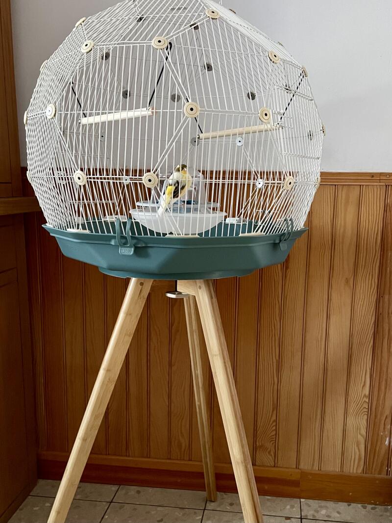 Cage à oiseaux Geo Une magnifique cage en dôme pour vos oiseaux