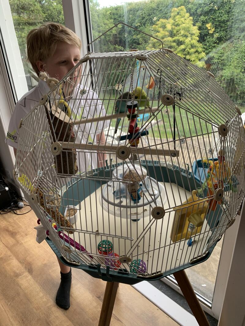 Cage à oiseaux Geo Une magnifique cage en dôme pour vos oiseaux