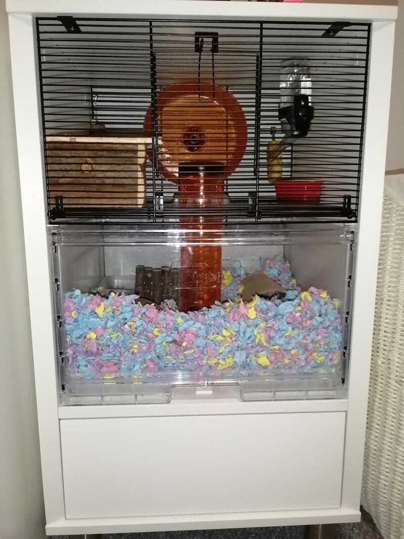 range hamster cage