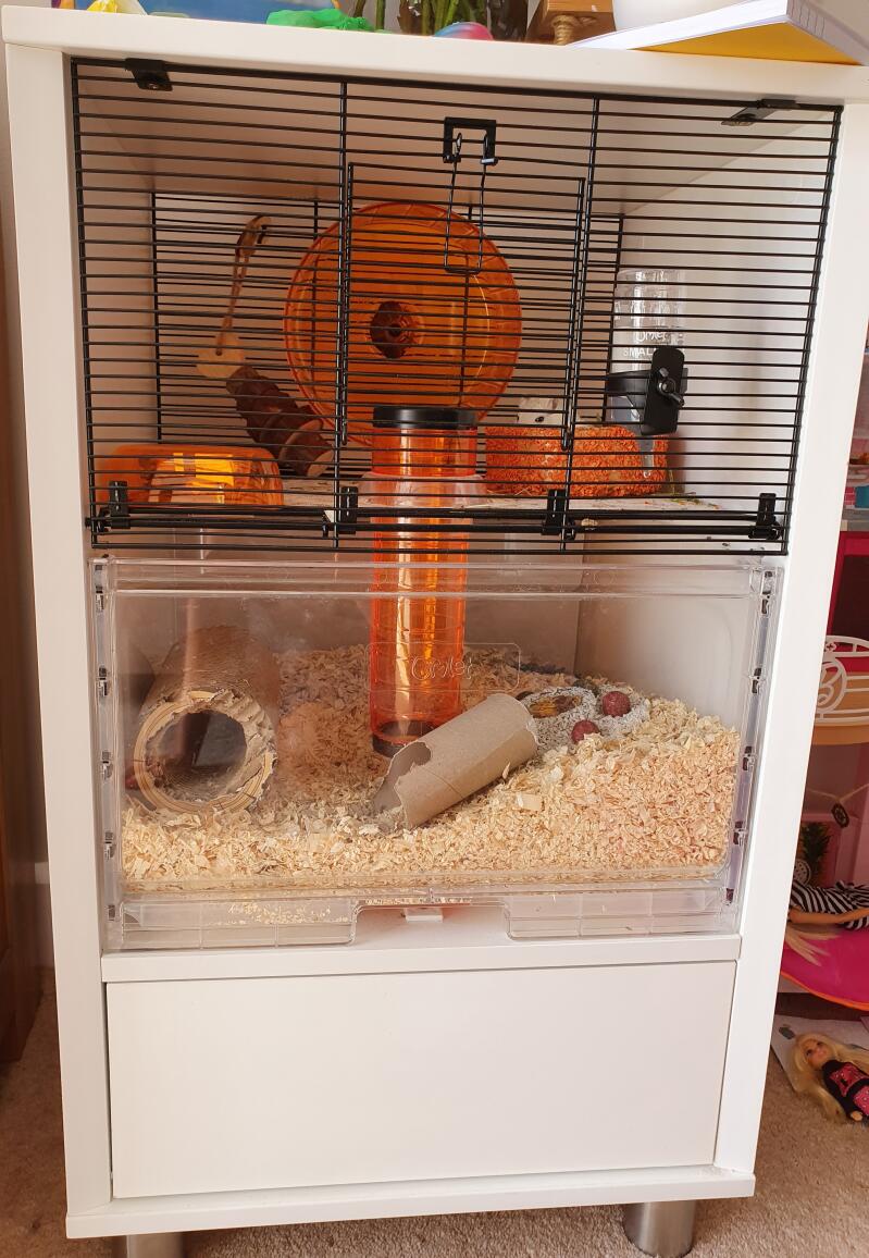 eglu hamster cage