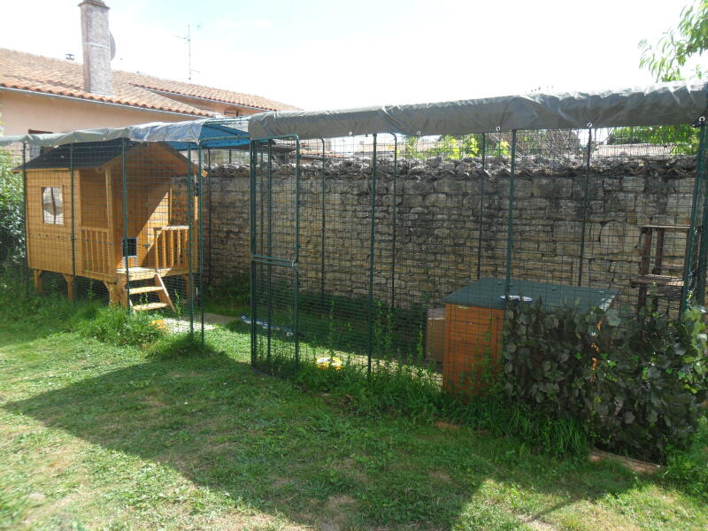 Grand Enclos Pour Chat Grand Enclos D Exterieur Niches D Interieur Pour Chats Lits Pour Chats De Luxe Et Plus Encore Omlet