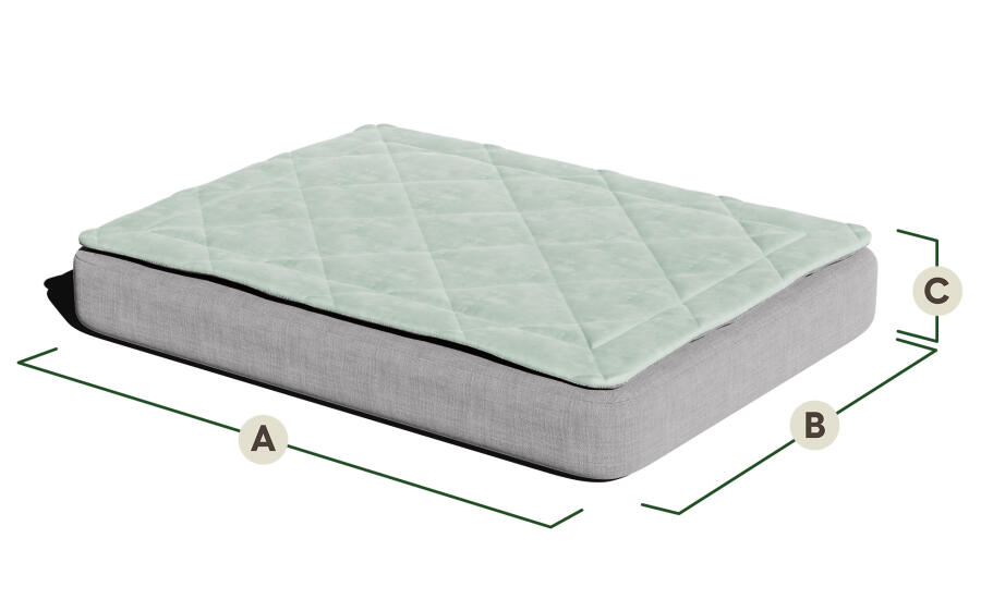 Dimensions du lit pour chien Topology avec surmatelas.