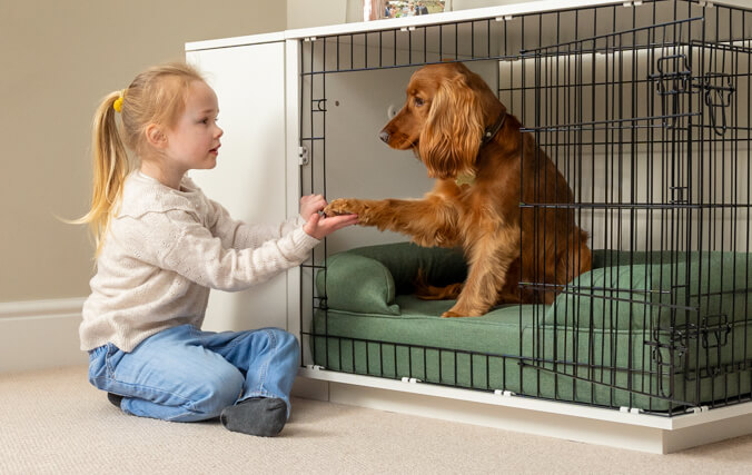 enfant qui joue avec un chien dans une niche pour chien