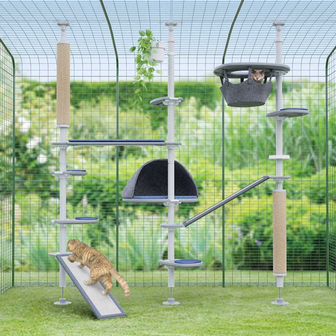 arbre à chat d’extérieur avec accessoires dans un enclos d’extérieur