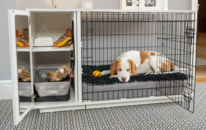 chien qui dort à l’intérieur d’une niche pour chien moderne