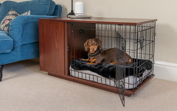 Un chien à l’intérieur d’une niche pour chien en bois