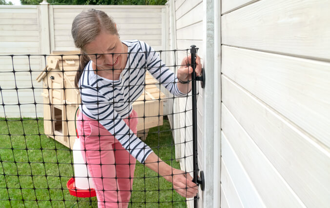 Femme qui attache un filet à poules d’Omlet à une clôture en bois dans un jardin