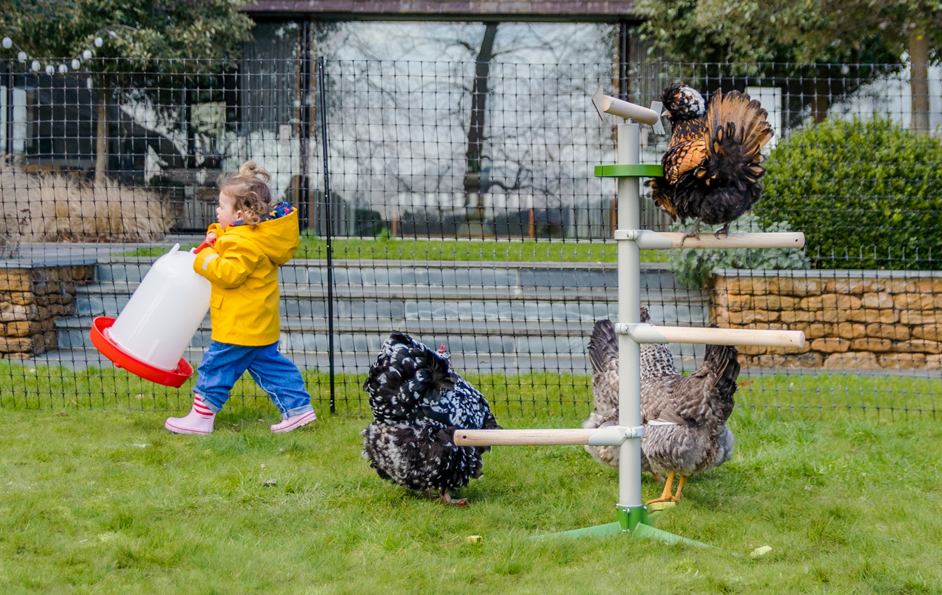 Fille qui marche près de ses poules à côté du Perchoir pour poules sur pied d’Omlet