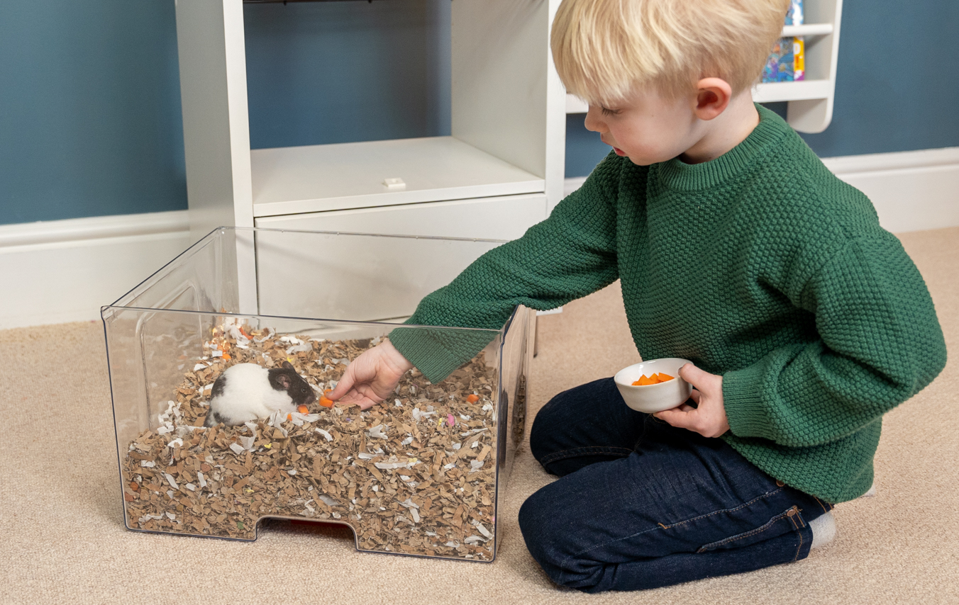 enfant qui nourrit un hamster dans un bac à litière d’une cage Qute pour hamsters