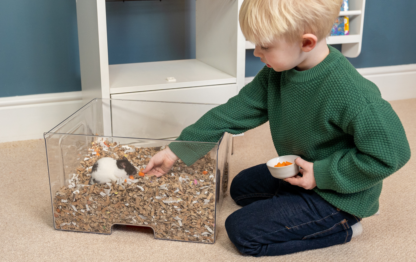 enfant qui nourrit un hamster dans un bac à litière d’une cage Qute pour hamsters