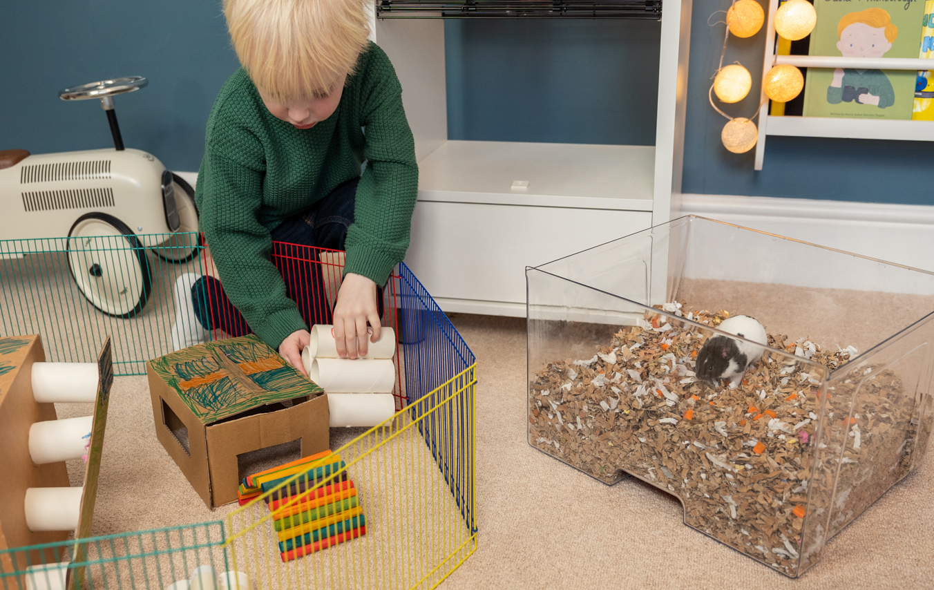 enfant qui joue avec un hamster