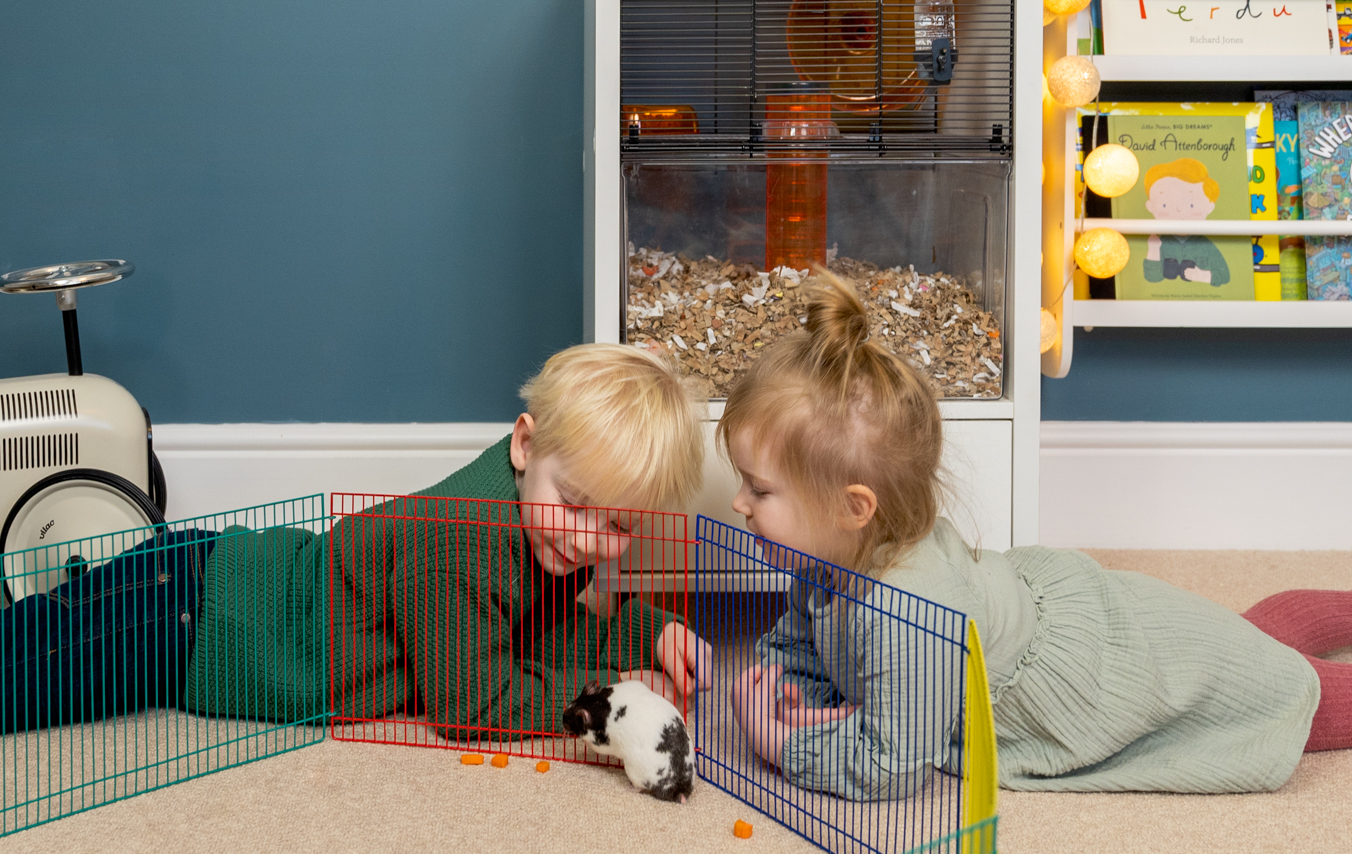 enfants qui jouent avec des hamsters et des gerbilles