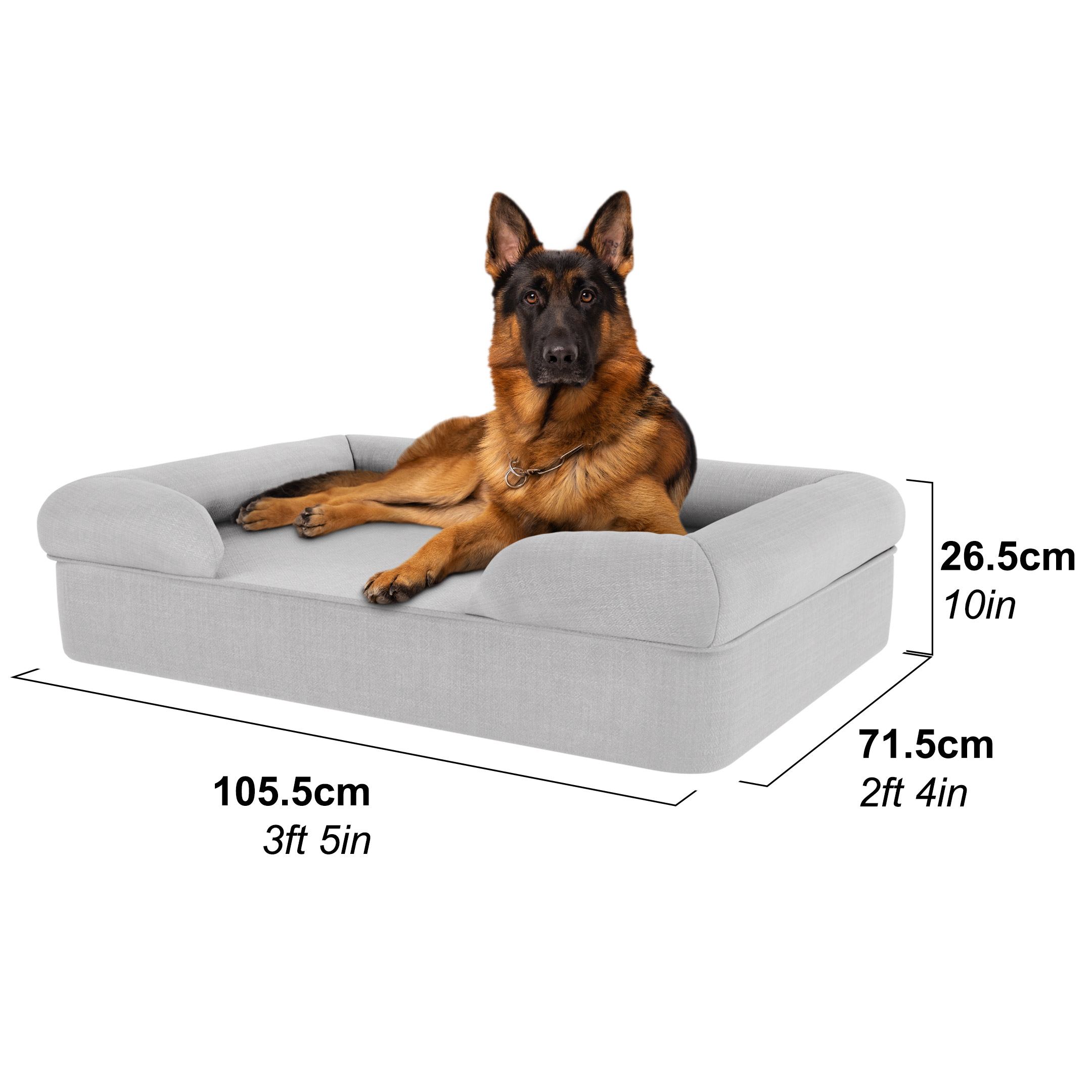 Berger allemand dans un panier pour chien – Large