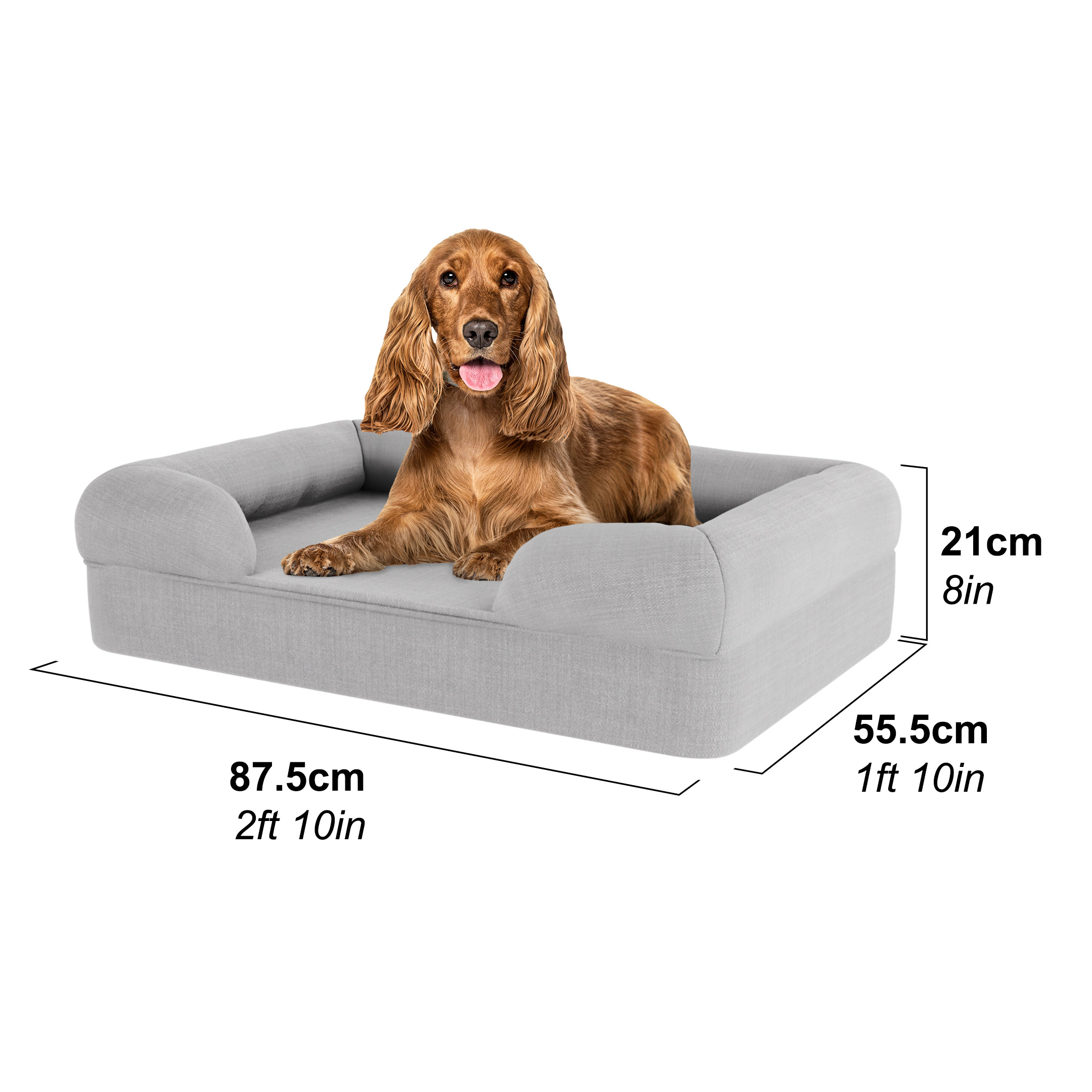Cocker dans un panier pour chien – Medium
