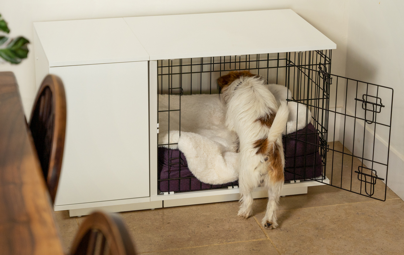Jack Russell Terrier qui s’installe confortablement dans sa niche pour chien Fido Studio d’Omlet avec une couverture de luxe en fausse peau de mouton