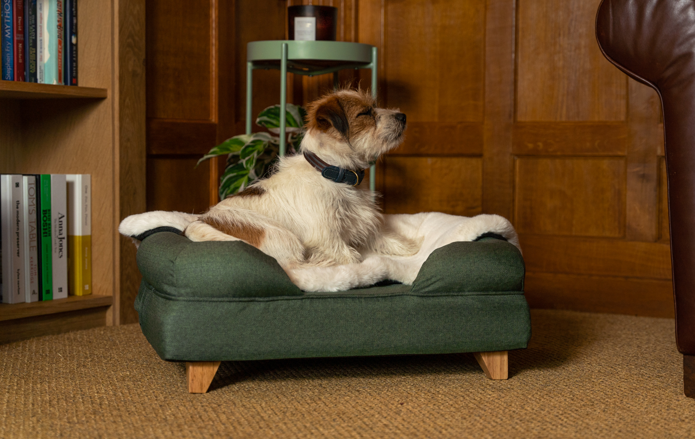 Jack Russell Terrier sur un panier pour chien Bolster d’Omlet avec une luxueuse couverture en fausse pour de mouton