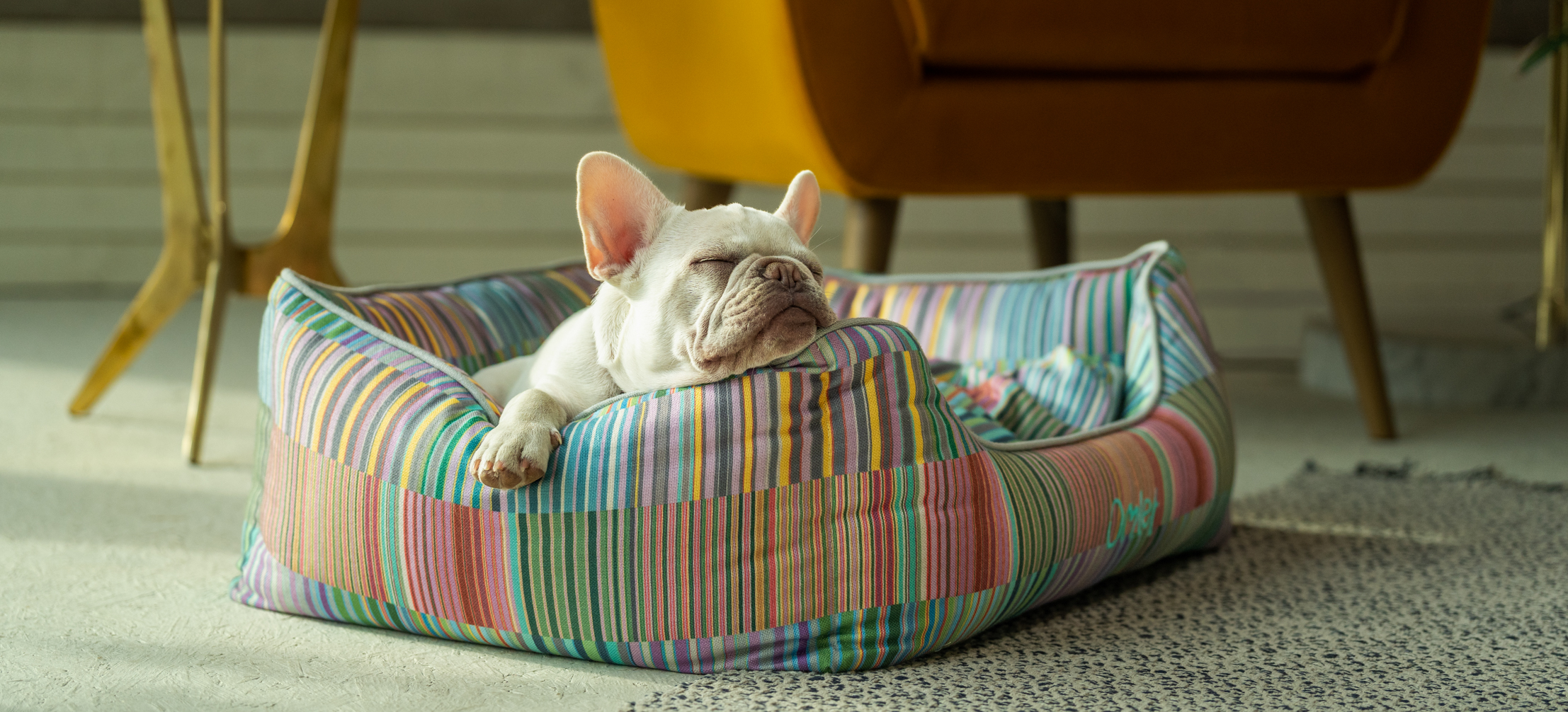 Bouledogue français qui profite d’une sieste sur un Nid douillet pour chien Omlet en imprimé Pawsteps Electric.