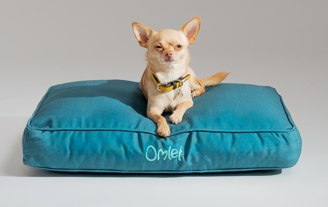 Chihuahua sur un coussin pour chien d’Omlet