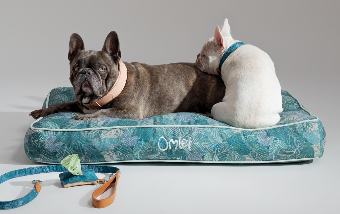 Deux bouledogues français sur leur coussin pour chien Omlet en imprimé Nature Trail Teal