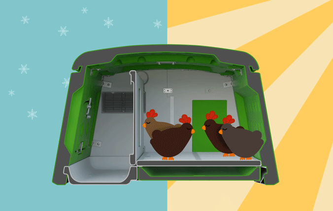 Idéal par tous les temps, maintient les poules au chaud en hiver et au frais en été.