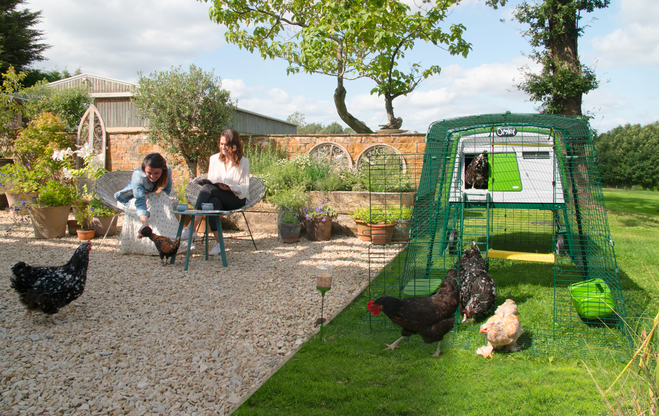 deux femmes qui déjeunent dans leur jardin avec des poules en liberté autour de leur grand poulailler eglu cube