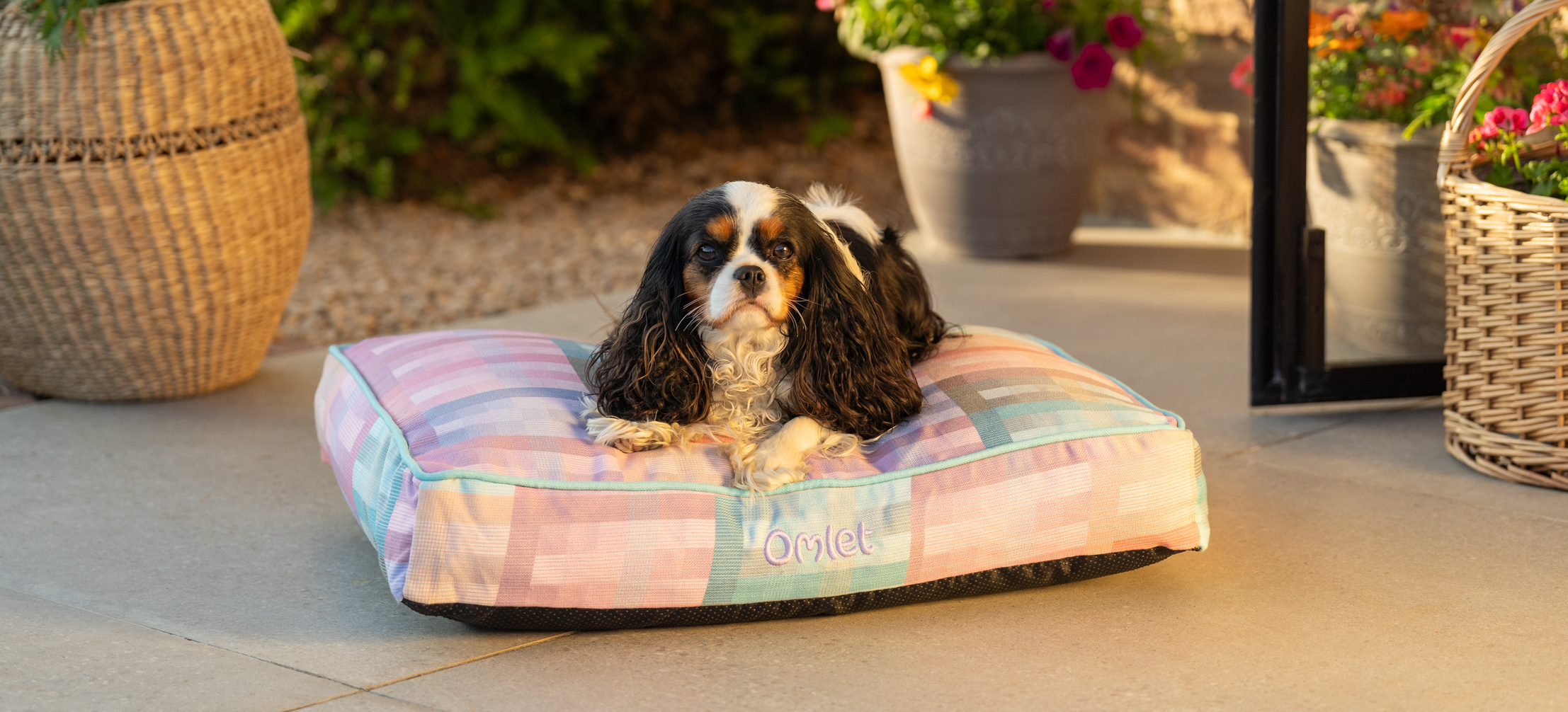 Cavalier King Charles Spaniel sur son coussin pour chien Omlet en imprimé Prism Kaleidoscope