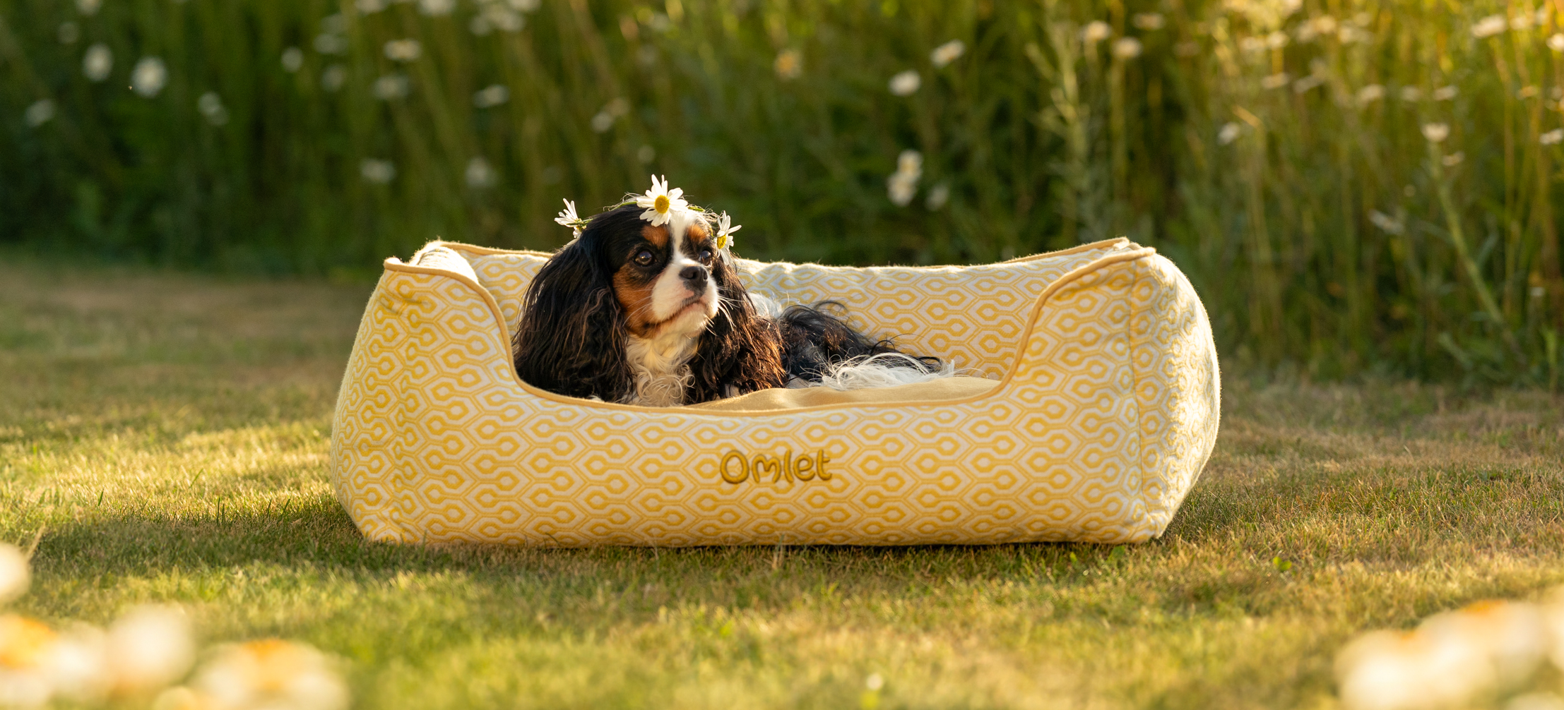 King Charles Spaniel qui profite de son nid douillet pour chien en imprimé Honeycomb Pollen