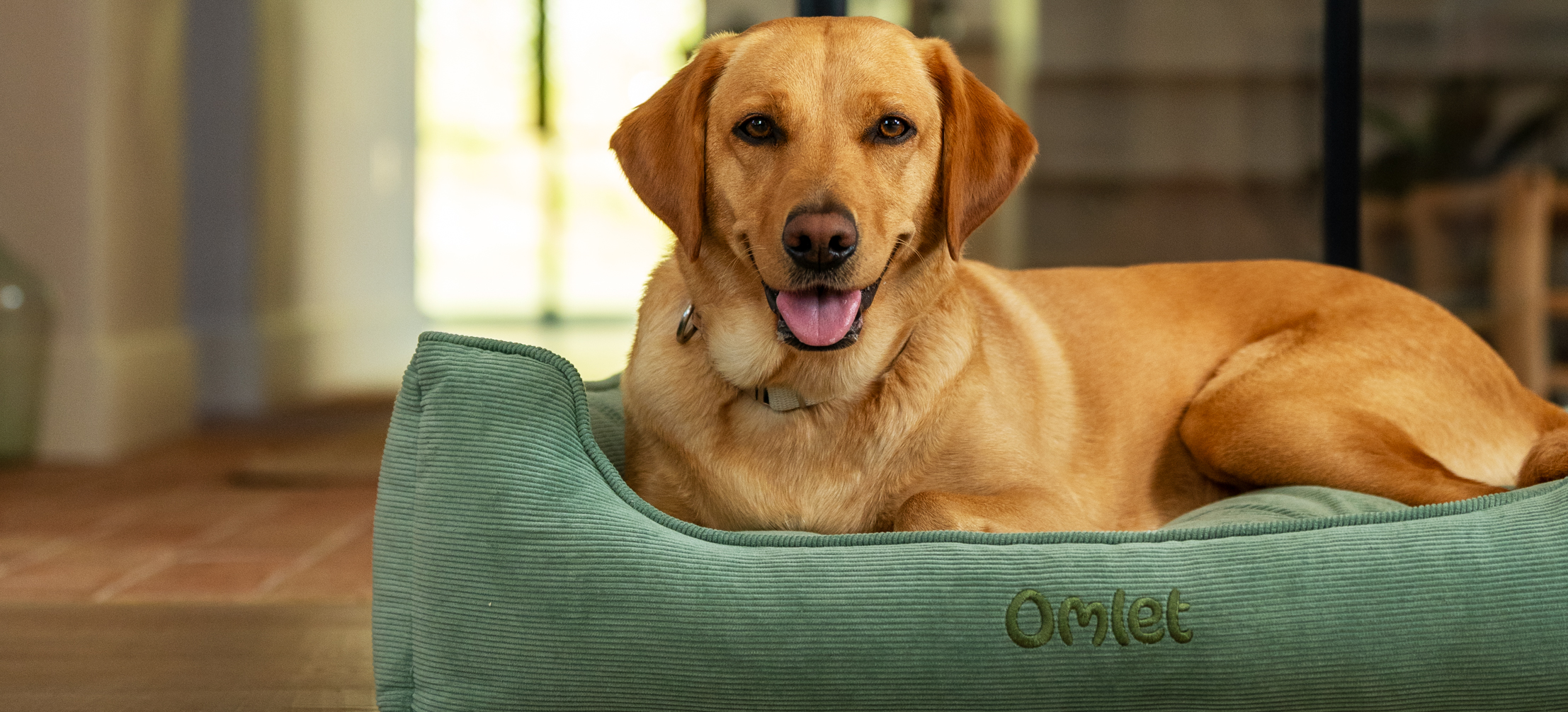 Nid douillet pour chien d’Omlet en imprimé Corduroy Moss