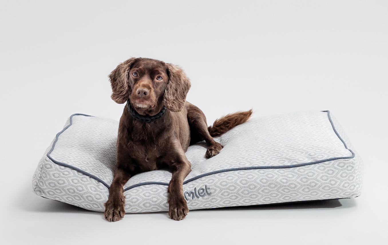 Springer spaniel qui se relaxe sur son coussin pour chien Omlet en imprimé Honeycomb Slate