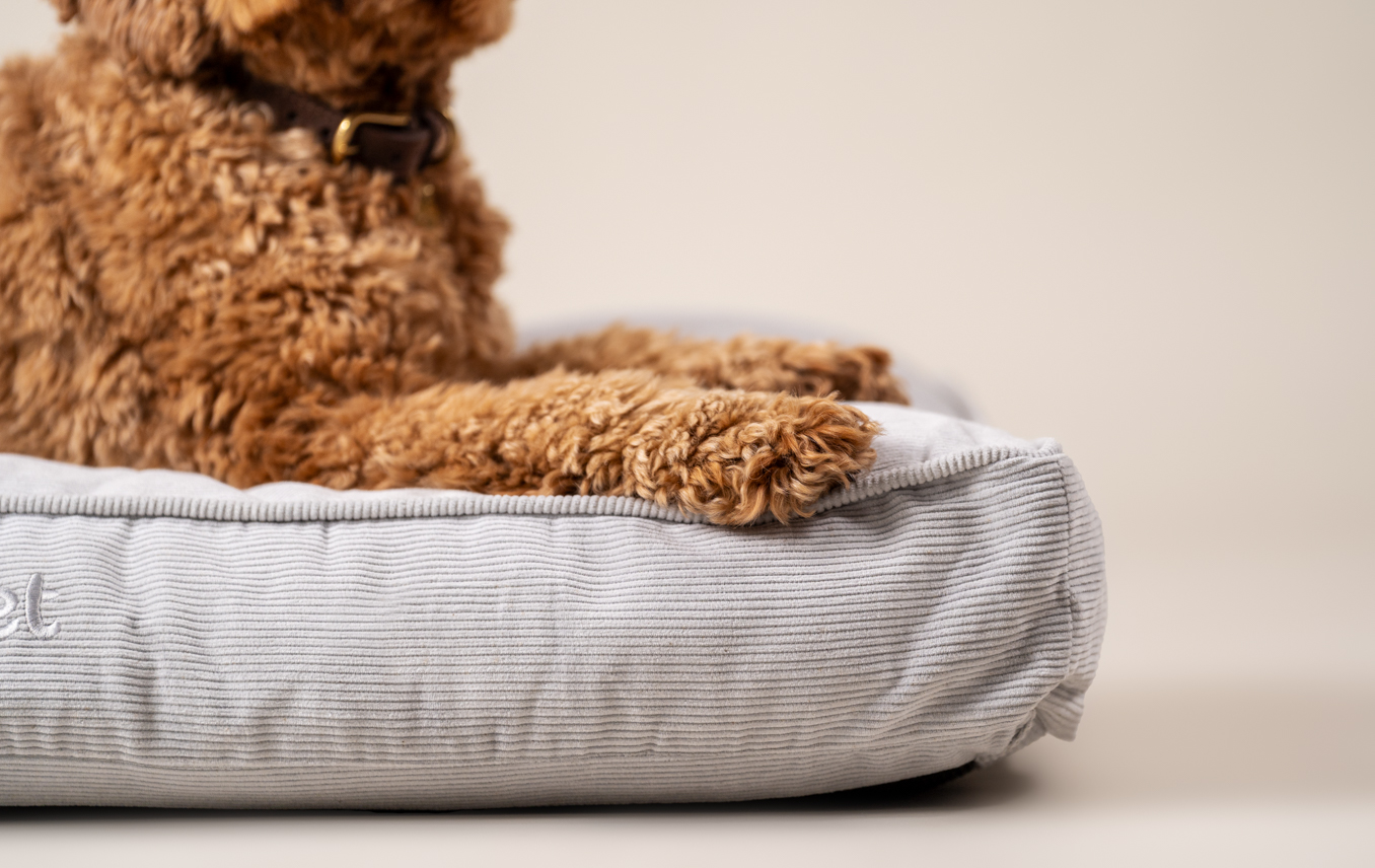 Caniche croisé couché sur un nid douillet pour chien d’Omlet