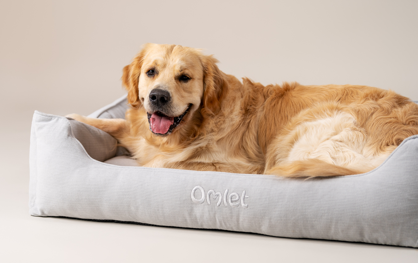 Golden retriever sur son Nid douillet pour chien d’Omlet en imprimé Corduroy Pebble