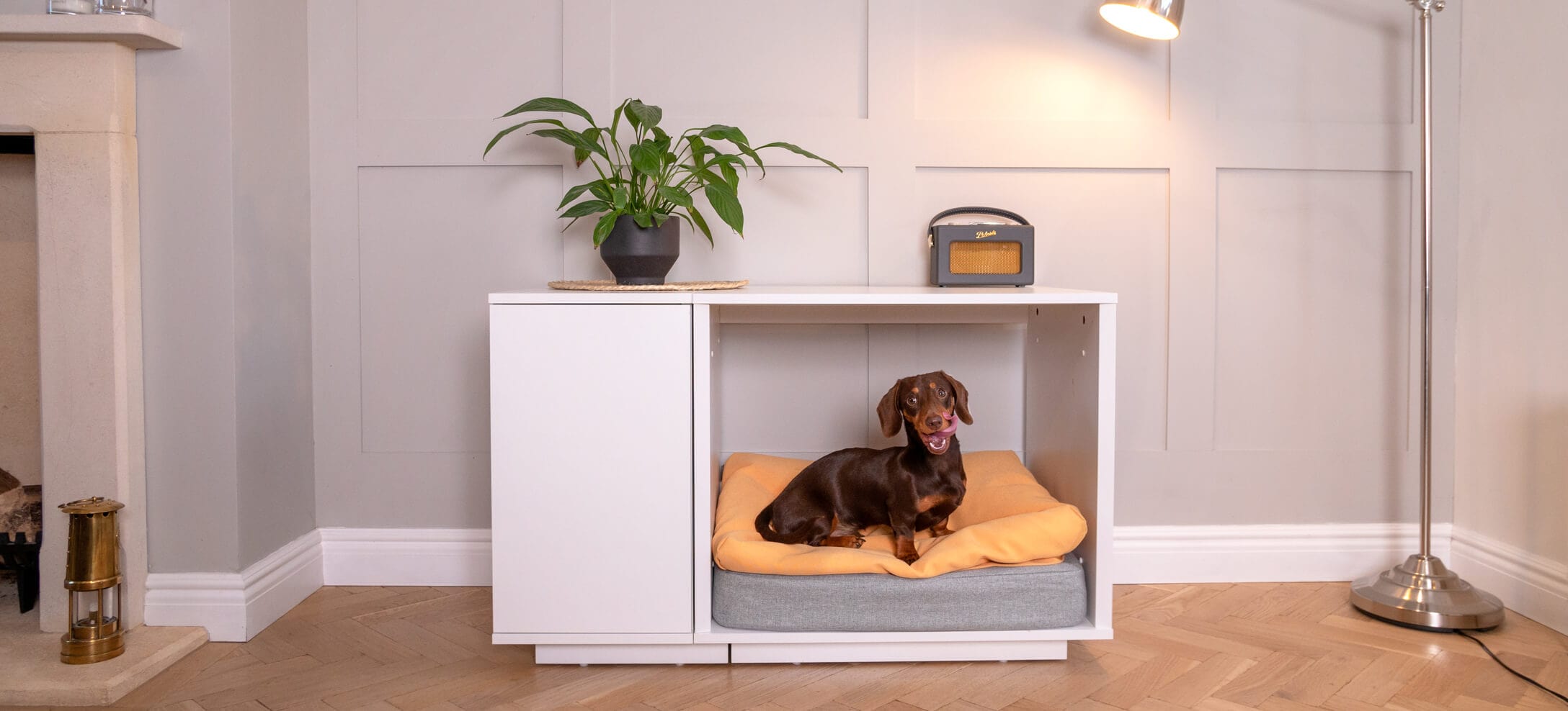 Dachshund in Omlet's Fido Nook dog crate with tongue out