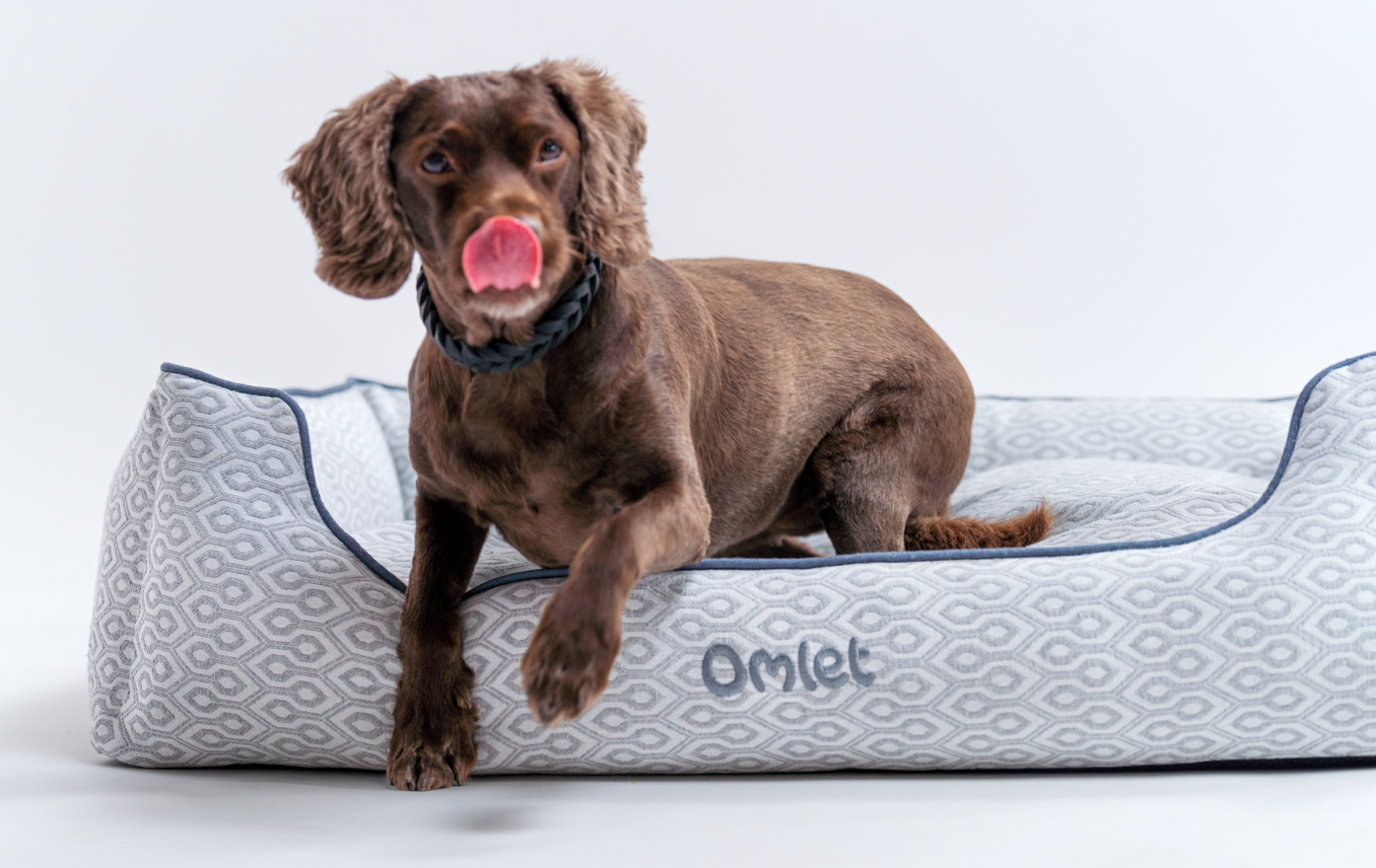 Cocker Spaniel qui saute de son nid douillet pour chien Omlet en imprimé Honeycomb Slate