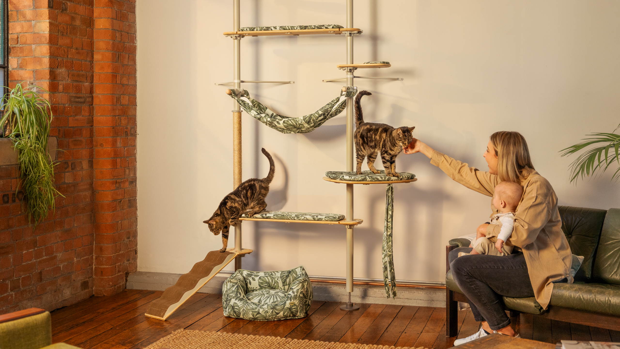 Femme qui joue avec ses chats sur l’arbre à chat Freestyle d’Omlet