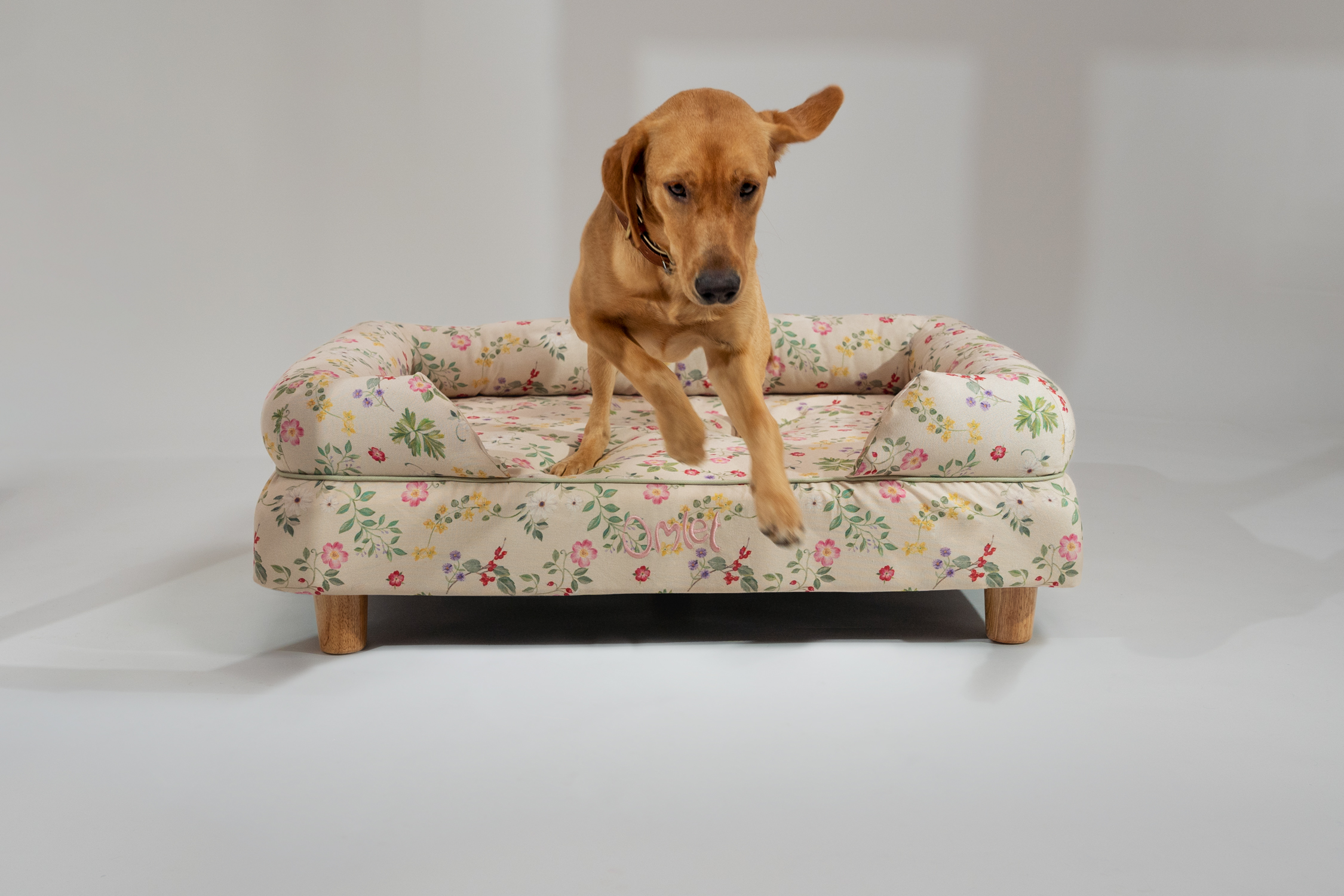 Labrador Fox Red qui saute d’un panier pour chien Bolster d’Omlet en imprimé floral Morning Meadow