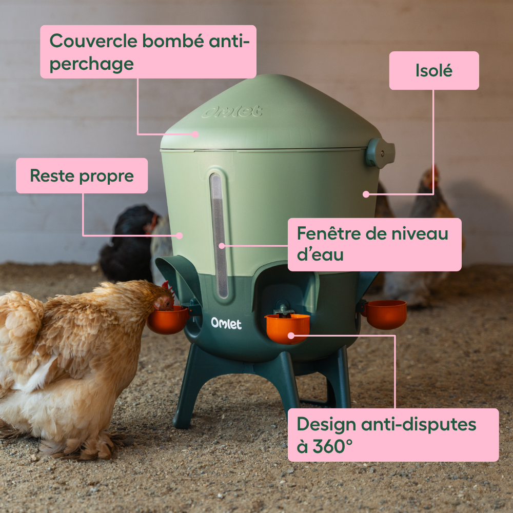 FINCA CASAREJO Pack Mangeoire 2 kg Abreuvoir 3L pour Poules et Autres Volailles - Pack Happy