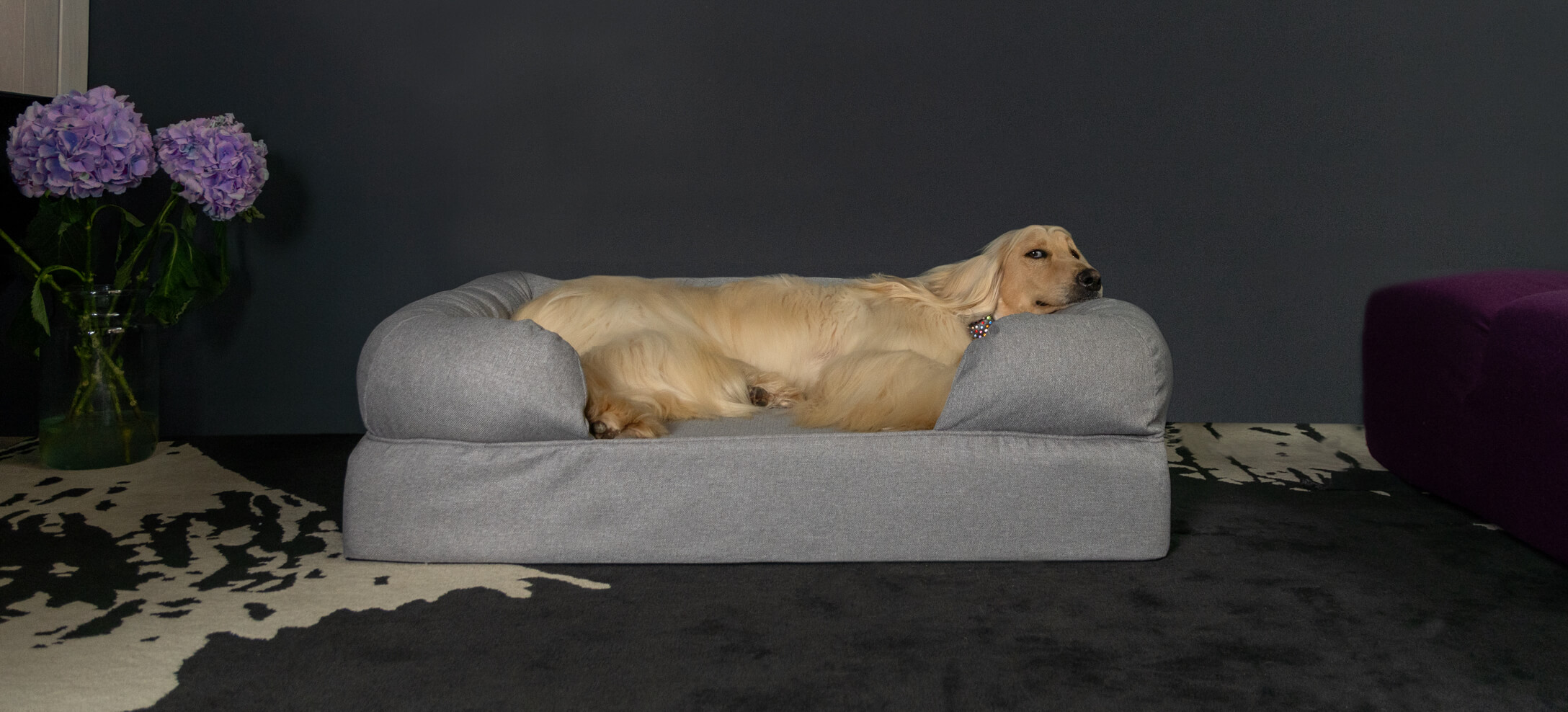 Chien lévrier afghan sur le panier pour chien Bolster d’Omlet