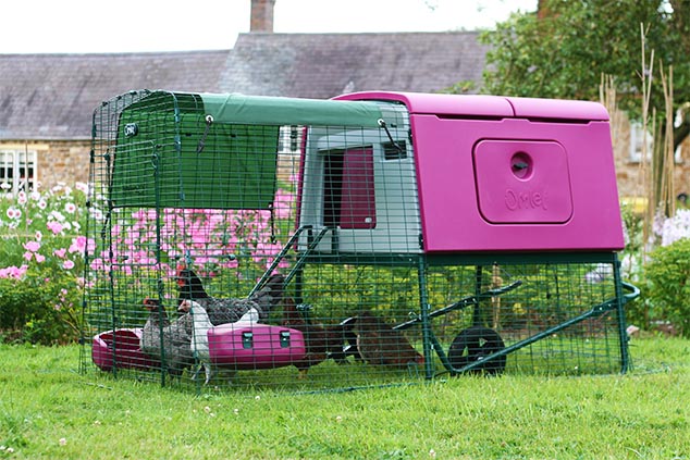 Le poulailler design eglu cube violet.