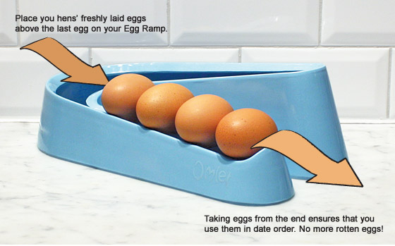 Rangez vos œufs par ordre de ponte