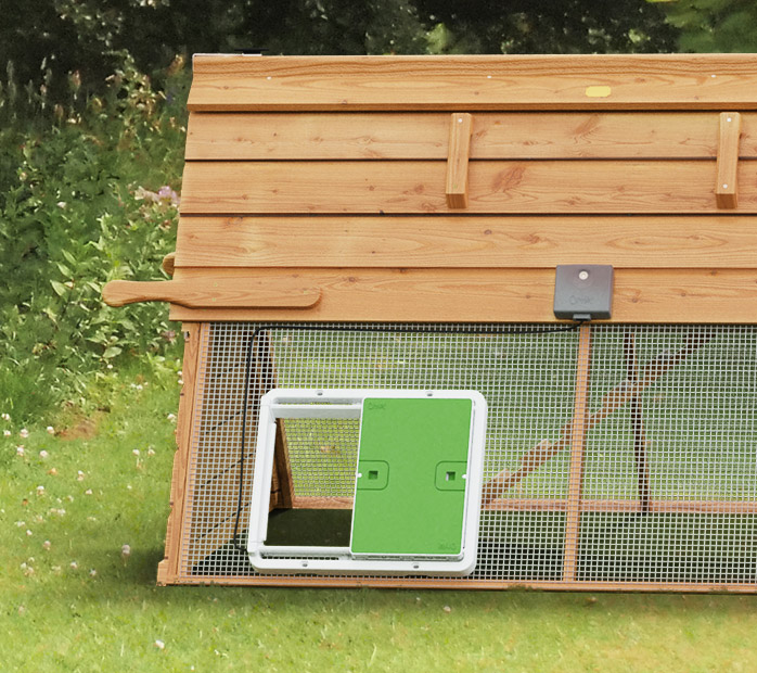 Porte automatique sur un poulailler maison