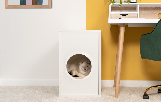 Chat assis dans une niche pour chat moderne à l’abri des courants d’air et à l’écart du bruit / Meuble pour chat